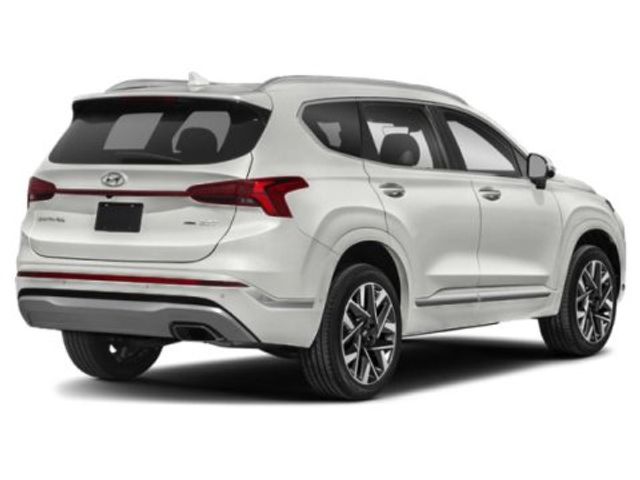 2021 Hyundai Santa Fe Calligraphy