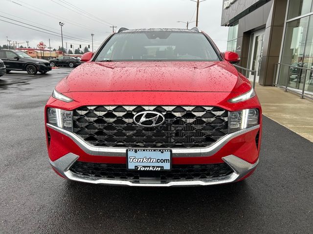 2021 Hyundai Santa Fe Calligraphy