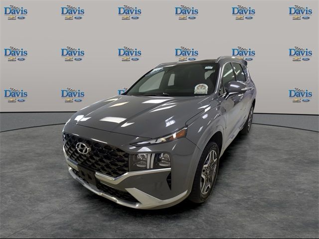 2021 Hyundai Santa Fe Calligraphy