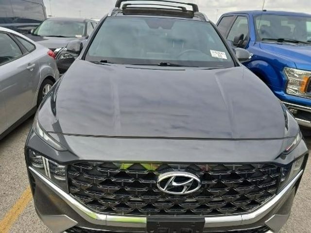 2021 Hyundai Santa Fe Calligraphy