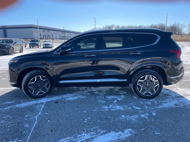 2021 Hyundai Santa Fe Calligraphy