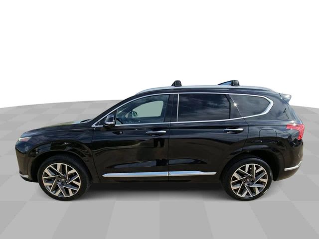 2021 Hyundai Santa Fe Calligraphy