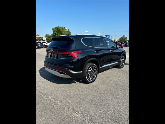 2021 Hyundai Santa Fe Hybrid SEL Premium