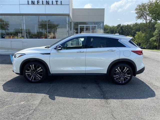 2021 INFINITI QX50 Luxe