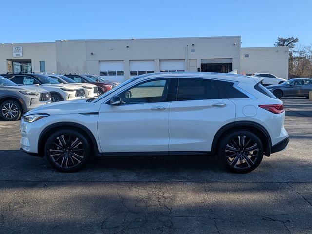 2021 INFINITI QX50 Luxe