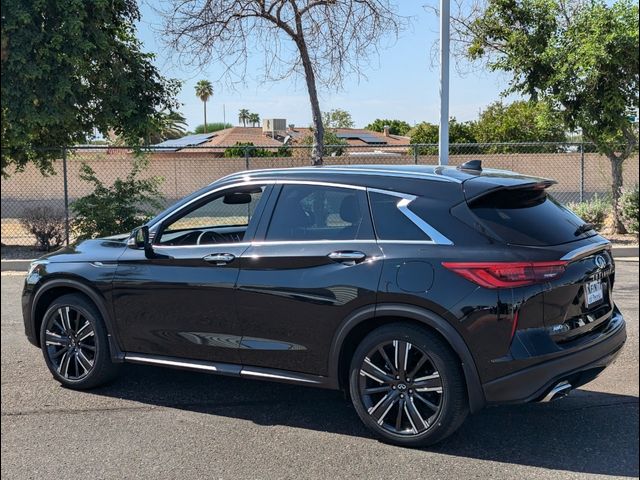 2021 INFINITI QX50 Luxe