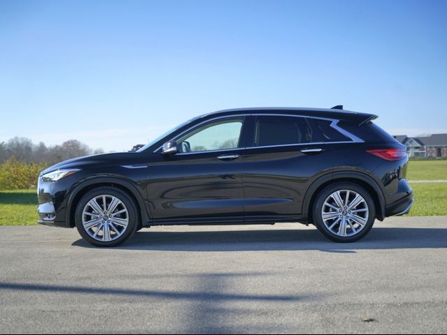 2021 INFINITI QX50 Sensory