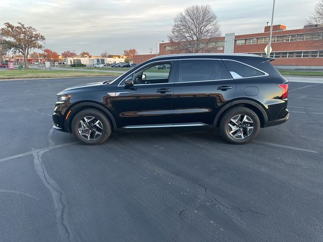 2021 Kia Sorento Hybrid EX