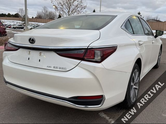 2021 Lexus ES 250