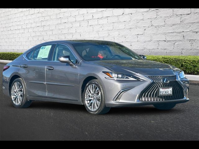 2021 Lexus ES 250