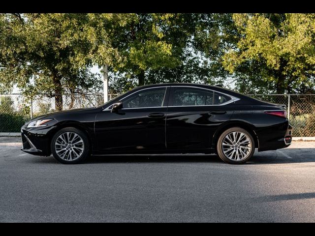 2021 Lexus ES 250