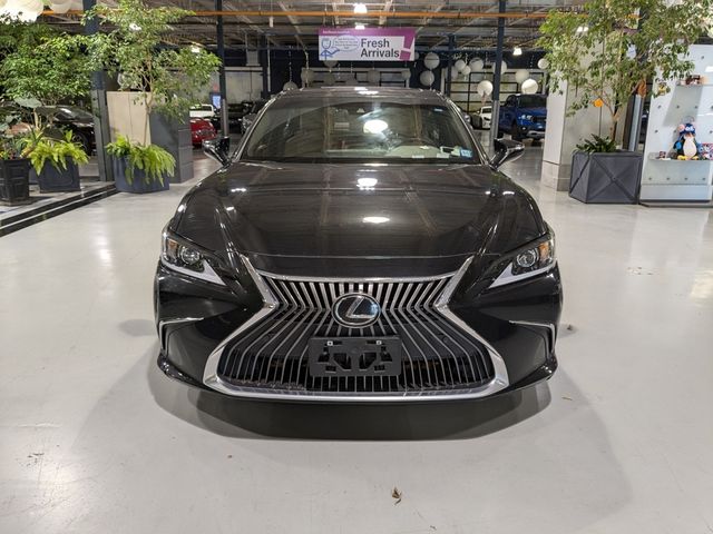 2021 Lexus ES 250