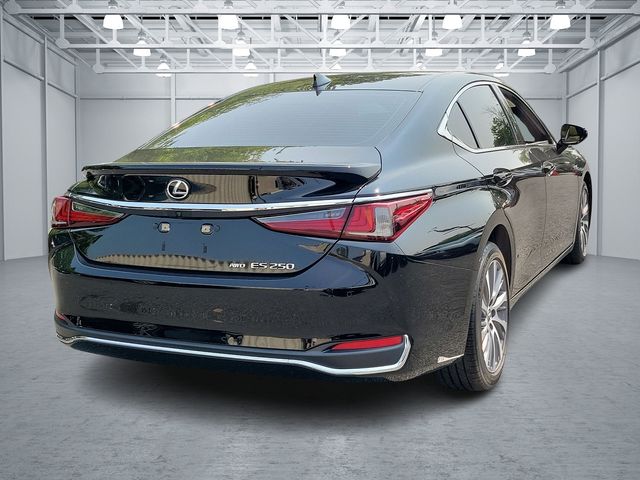 2021 Lexus ES 250