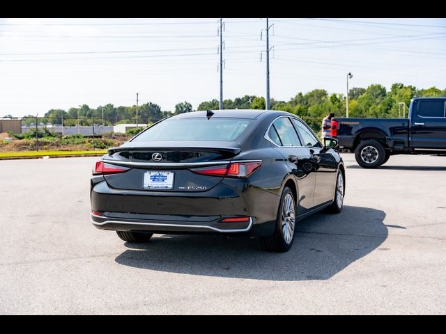 2021 Lexus ES 250 Luxury