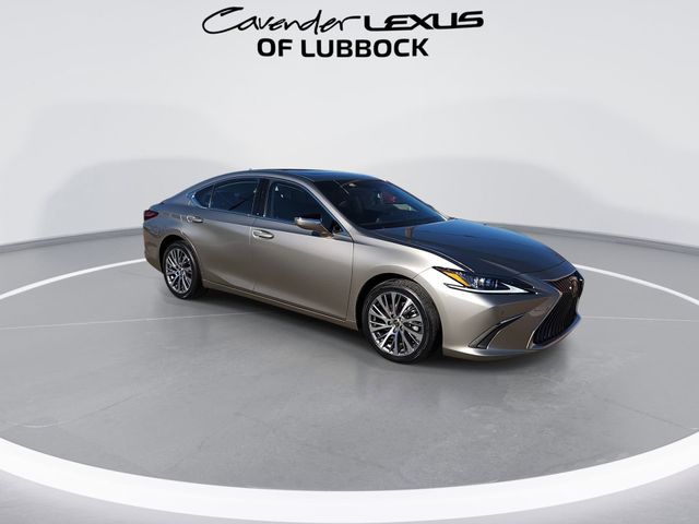 2021 Lexus ES 250