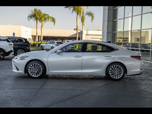 2021 Lexus ES 350 Luxury