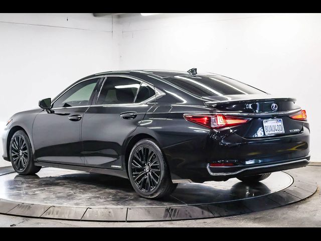 2021 Lexus ES 300h