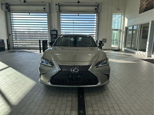 2021 Lexus ES 250