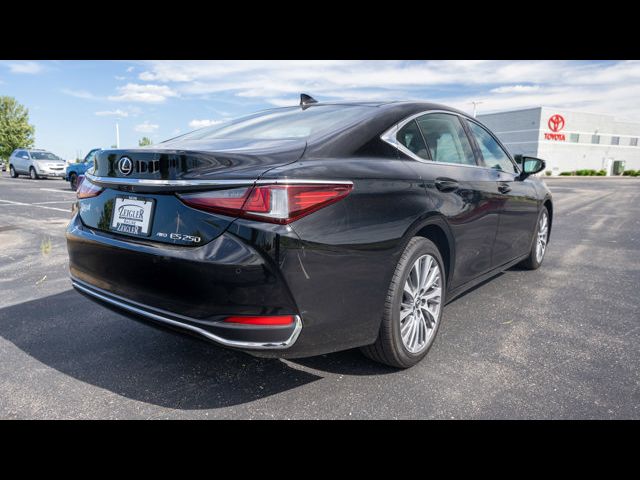 2021 Lexus ES 250