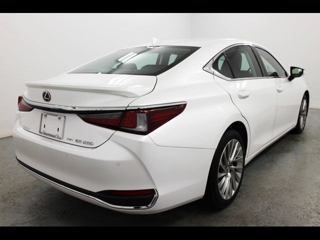 2021 Lexus ES 250 Luxury