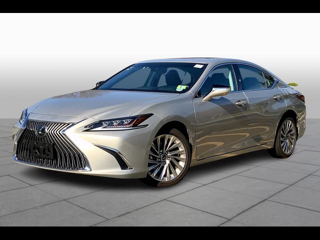 2021 Lexus ES 250 Luxury