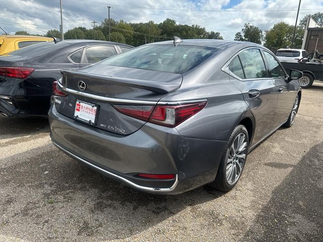 2021 Lexus ES 250