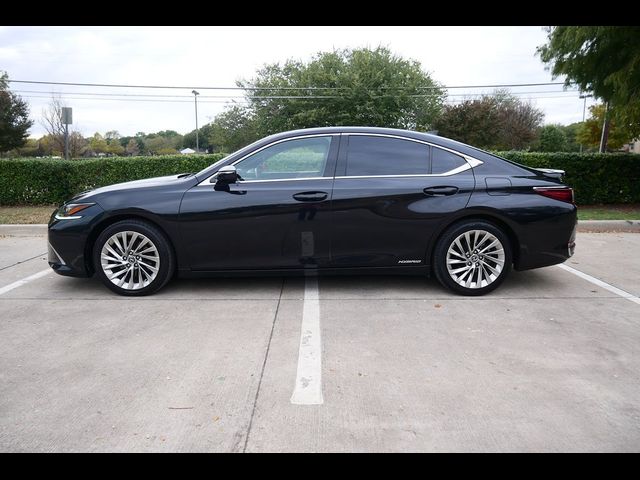 2021 Lexus ES 300h Luxury