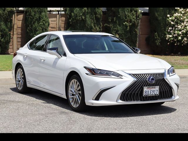 2021 Lexus ES 300h Luxury