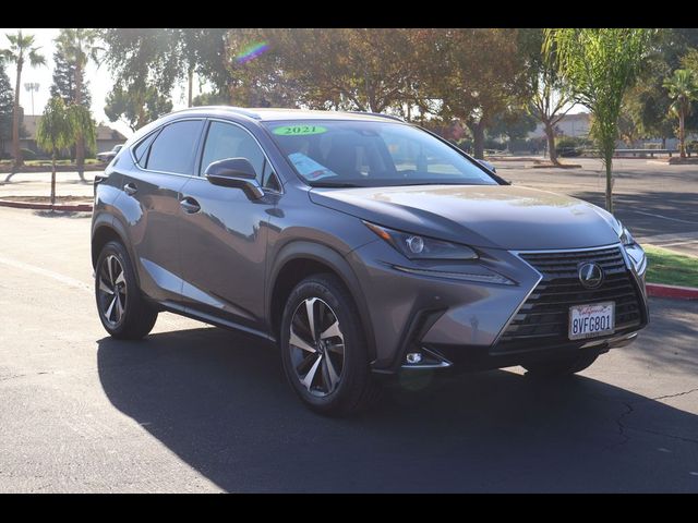 2021 Lexus NX 300