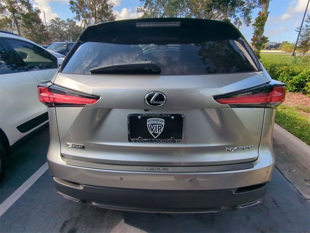 2021 Lexus NX 300 F Sport