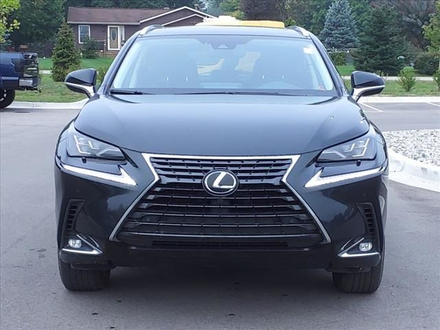 2021 Lexus NX 300 Luxury