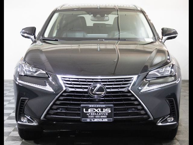 2021 Lexus NX 300 Luxury