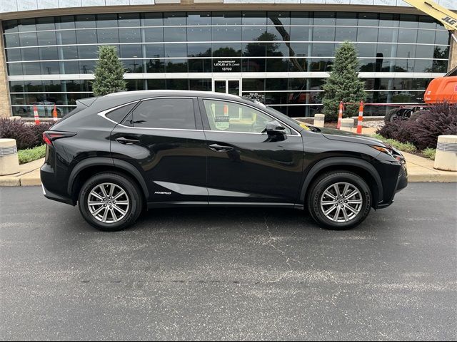 2021 Lexus NX 300h