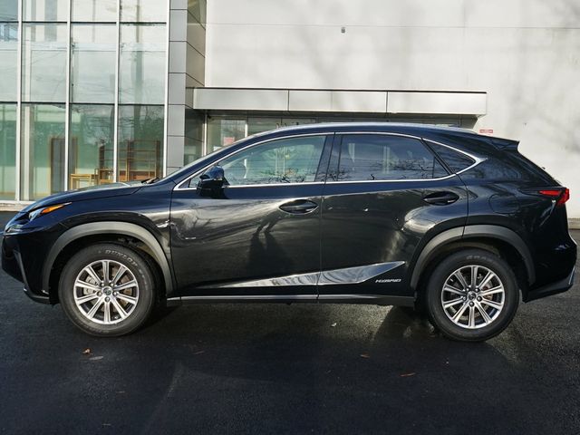 2021 Lexus NX 300h