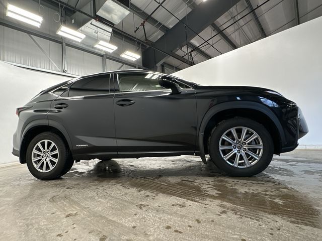 2021 Lexus NX 300h