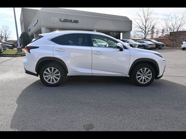 2021 Lexus NX 300h