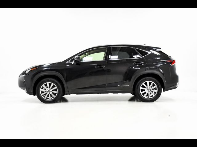 2021 Lexus NX 300h