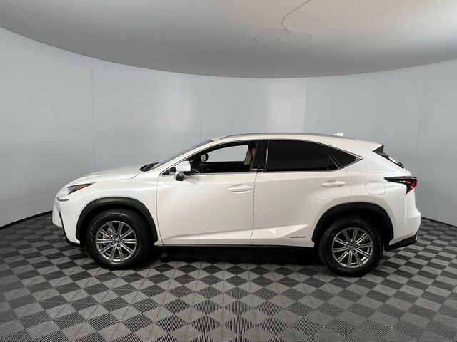 2021 Lexus NX 300h