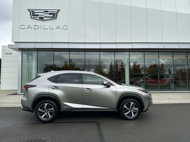 2021 Lexus NX 300h