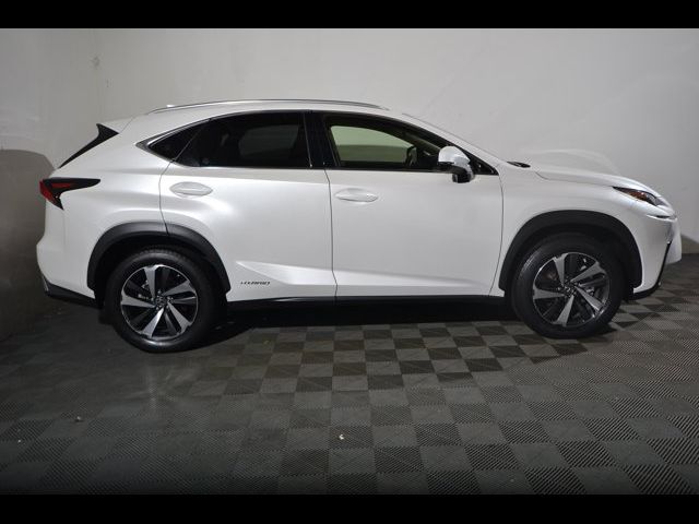 2021 Lexus NX 300h