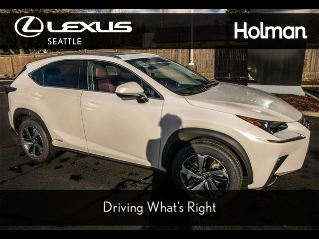 2021 Lexus NX 300h