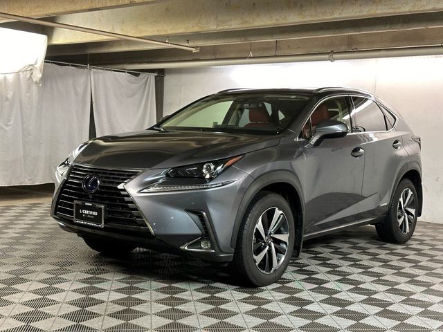 2021 Lexus NX 300h