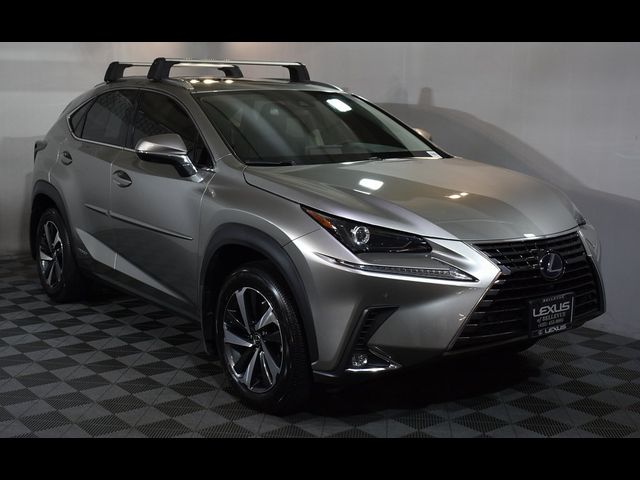 2021 Lexus NX 300h