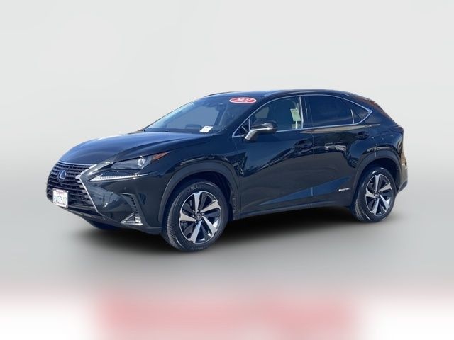 2021 Lexus NX 300h