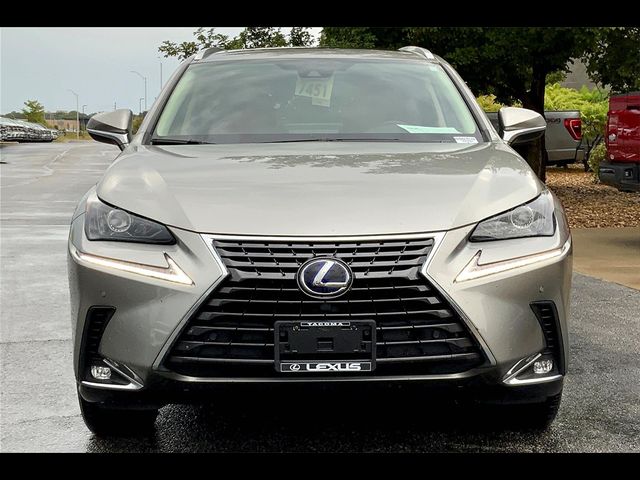 2021 Lexus NX 300h