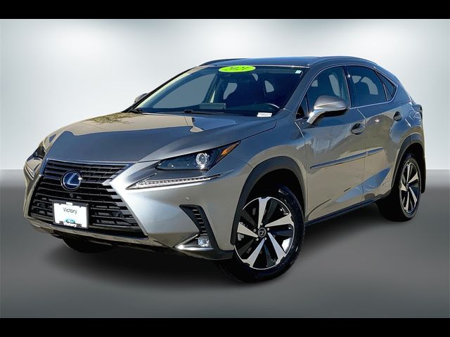 2021 Lexus NX 300h