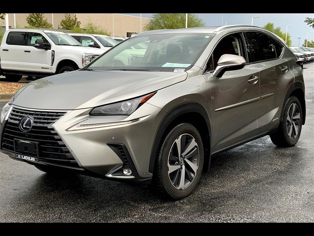 2021 Lexus NX 300h