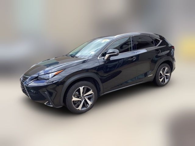 2021 Lexus NX 300h