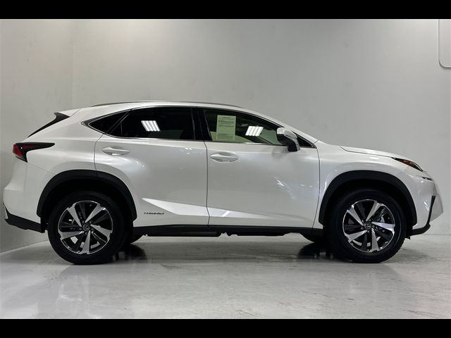 2021 Lexus NX 300h