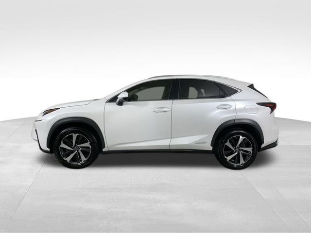 2021 Lexus NX 300h